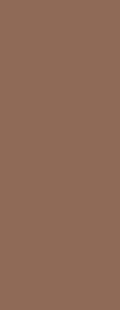 Warm skin tone