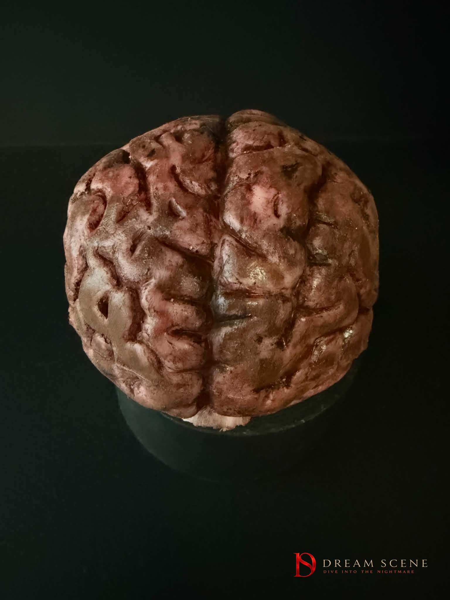 Human Brain