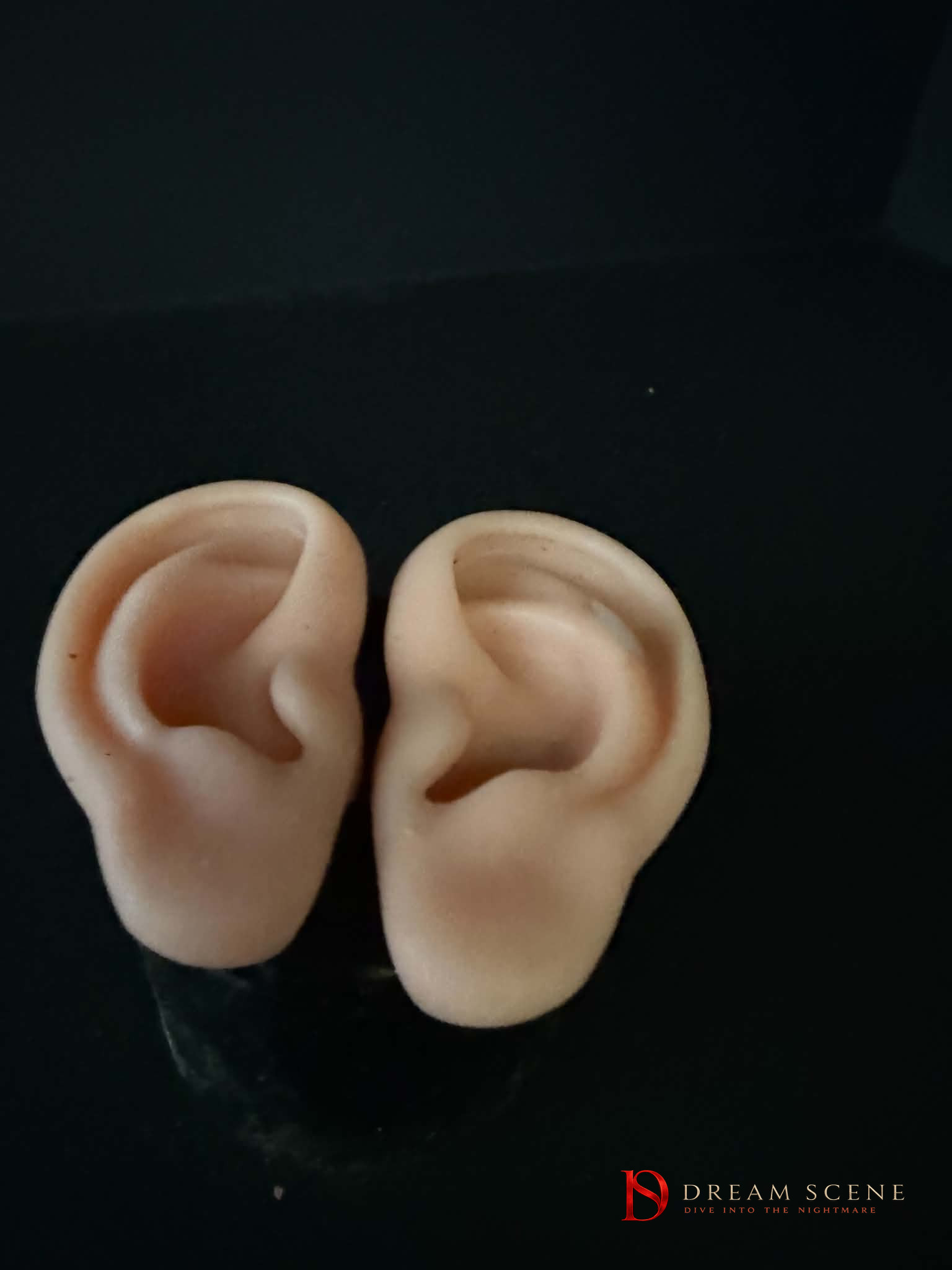 Human Ears