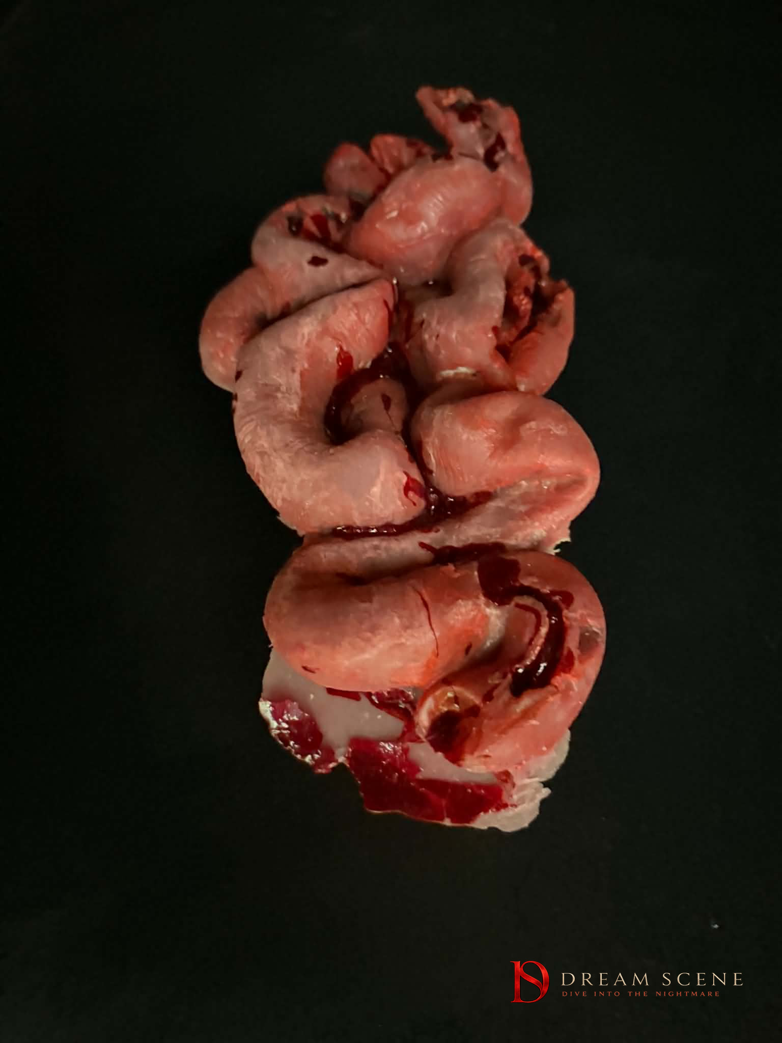 Human Intestines