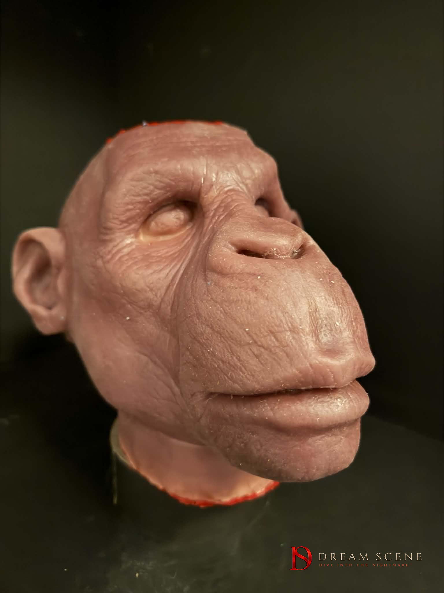 Scalped Monkey