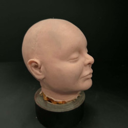 Baby Head
