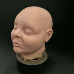 Baby Head