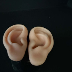 Human Ears