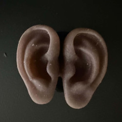 Human Ears