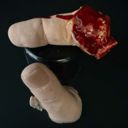 Human Fingers