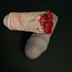 Human Penis