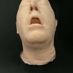 Male Severed Head