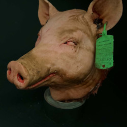 Pigsy