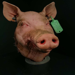 Pigsy