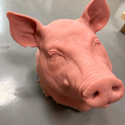 Pigsy
