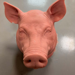 Pigsy