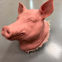 Pigsy