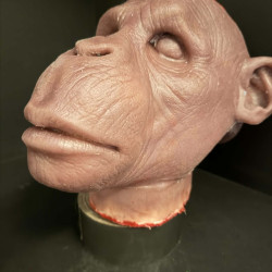 Scalped Monkey