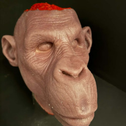 Scalped Monkey