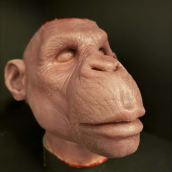 Scalped Monkey