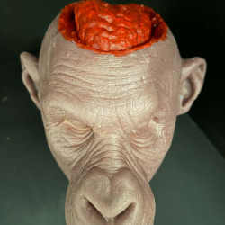Scalped Monkey