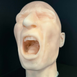Screaming Sam