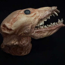 Skinned Animal