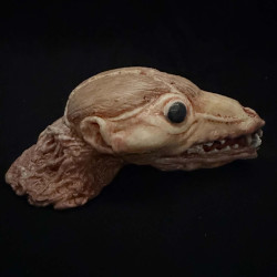 Skinned Animal
